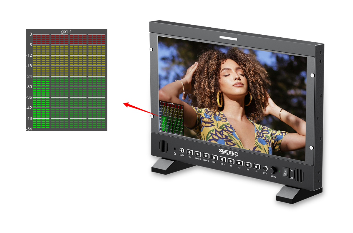 P173-PRO-audio-level-monitor.jpg