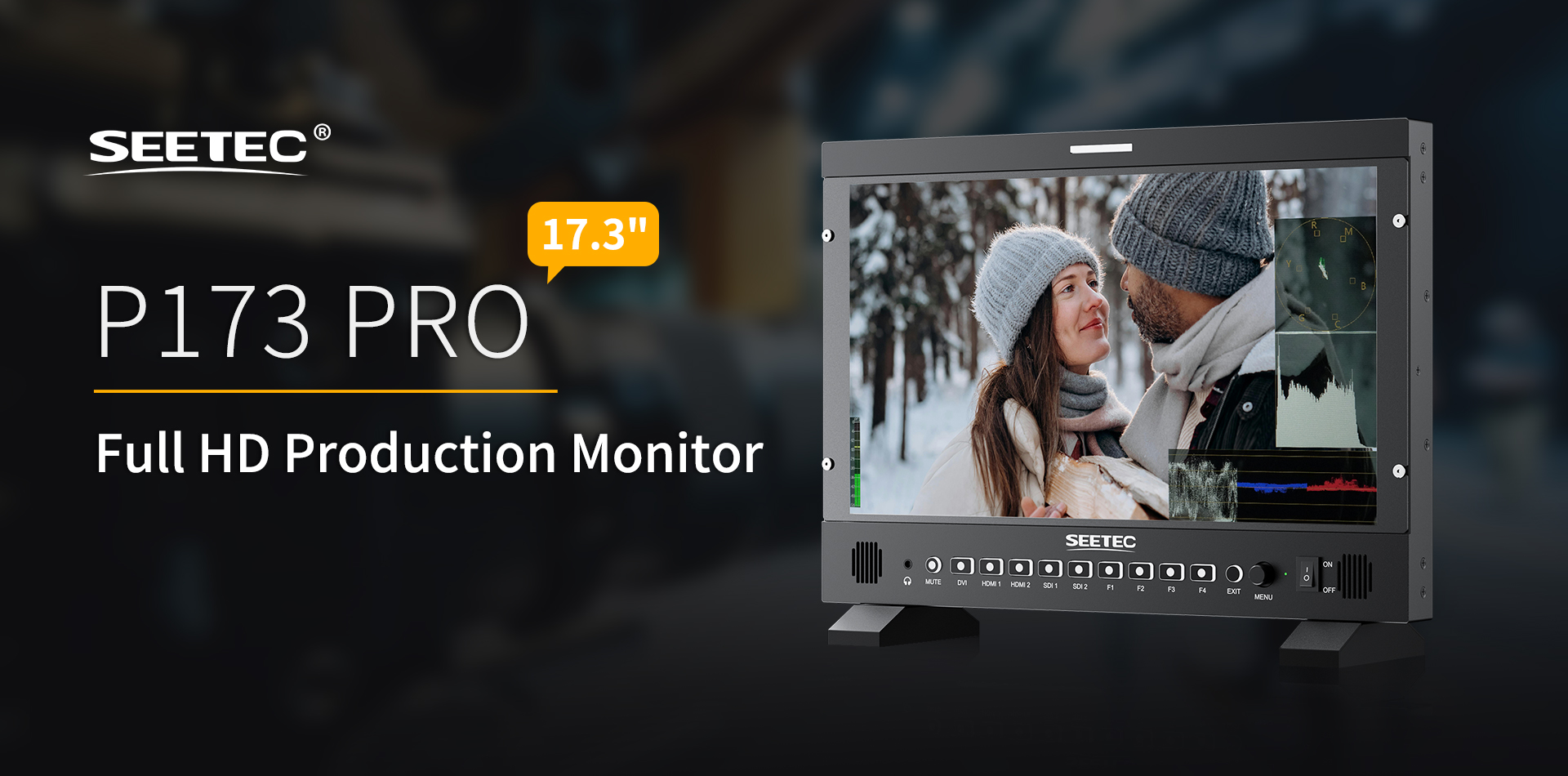 P173-PRO-full-hd-monitor.jpg